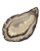 🦪